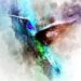 Giclee Prints